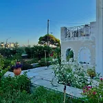 Апартаменты Star Paros Дриос