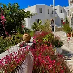 Star Paros Дриос