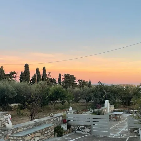 Star Paros * Driósz