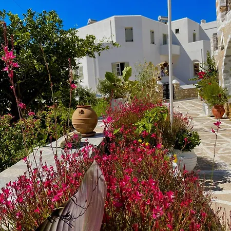 Star Paros Driósz